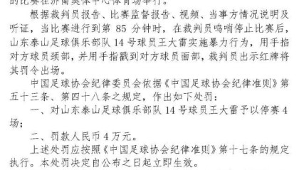 kaiyun-足协罚单：王大雷实施暴力行为 停赛4场罚款4万元